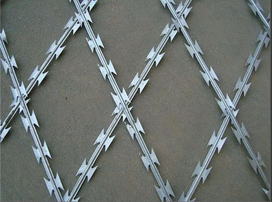 品質  75mmx150mm Welded Razor Wire Mesh Rot Proof Function 工場